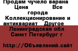 Продам чучело варана. › Цена ­ 15 000 - Все города Коллекционирование и антиквариат » Другое   . Ленинградская обл.,Санкт-Петербург г.